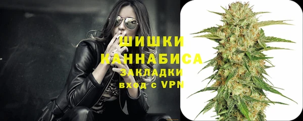шишки Балабаново