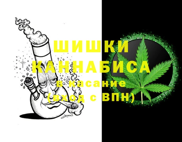 ГАЛЛЮЦИНОГЕННЫЕ ГРИБЫ Баксан