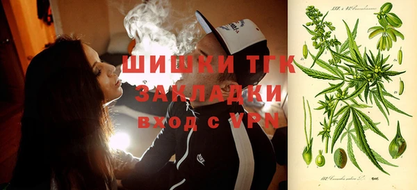 ГАЛЛЮЦИНОГЕННЫЕ ГРИБЫ Баксан